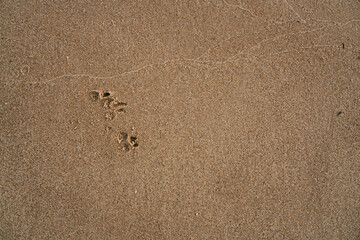 Small Traces on the Beach