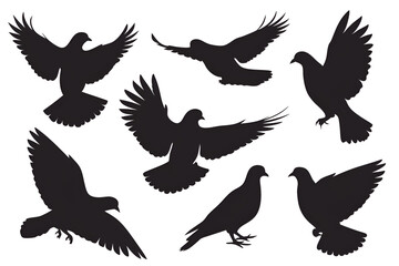 Obraz premium set of silhouette of pigeons 