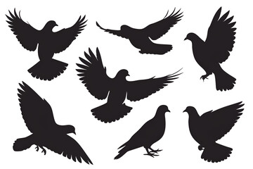 set of birds, set of silhouette of pigeons  