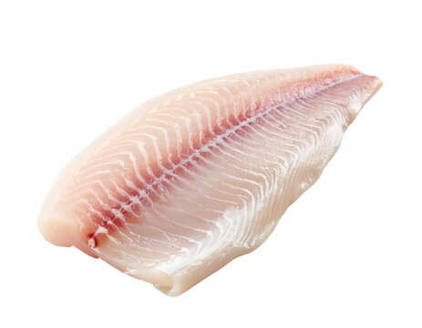 Fillet Fish Images – Browse 741,203 Stock Photos, Vectors, and Video ...