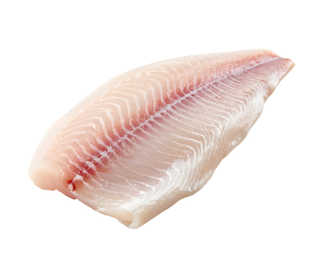 raw white fish fillet with natural texture and bone line on isolated background
