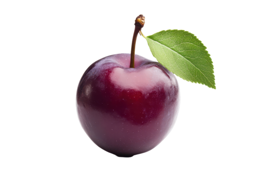 Deep purple plum, highlighted by its glossy surface, and a single vibrant green leaf, is pictured against a dark background.