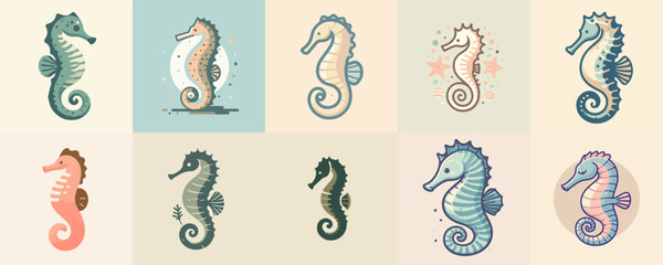 collection of seahorse illustration