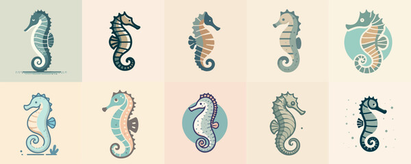 collection of seahorse illustration