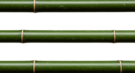 Elegant backdrop featuring a verdant bamboo arrangement against stark darkness