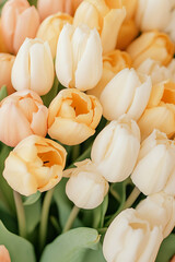 Close up of beautiful vibrant tulip bunch blossoms in the fields cheerful sight in the spring National tulip day ai generated 