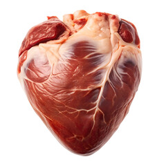 cow heart raw meat