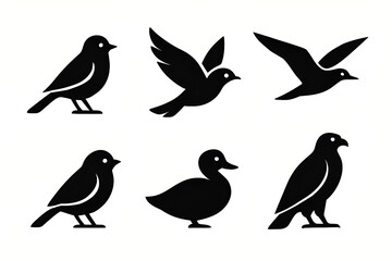 Fototapeta premium This cute cartoon vector set features a collection of bird silhouettes, including a duck, crow, and sparrow, in a spring nature design