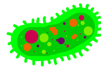 Simple Bacteria