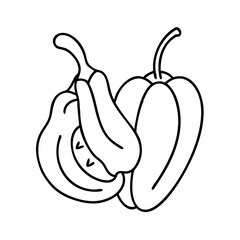 pepper icon, pepper line art - simple line art of pepper, perfect for pepper logos and icons