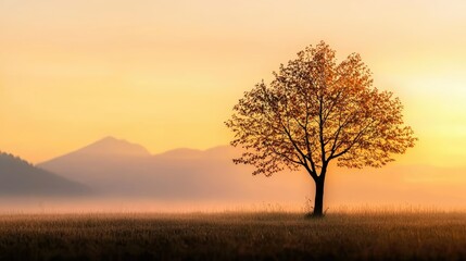Obraz premium A solitary tree stands silhouetted against a golden sunrise backdrop