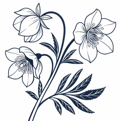 black and white flowers