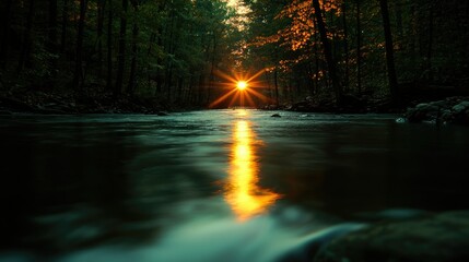 Fototapeta premium Sunlight beaming down on a river in a peaceful forest setting