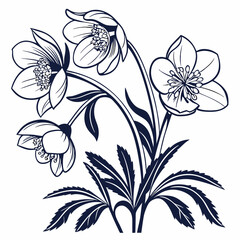 black and white flowers