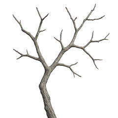 Obraz premium Striking image of a bare tree, highlighting the rough texture of its curved trunk and spreading branches.