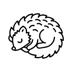Hedgehog sleeping curled into a ball on a white background  