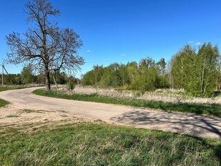 village, rural landscape, road with curve and trees

