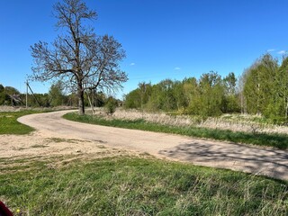 village, rural landscape, road with curve and trees
