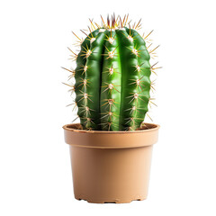 Cactus in Pot Isolated on Transparent Background. PNG. Generated AI.