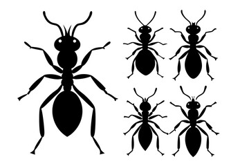 set of Ant silhouette vector illustration