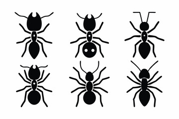 set of Ant icon  silhouette vector illustration