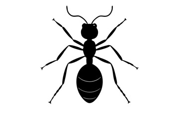 Ant icon  silhouette vector illustration
