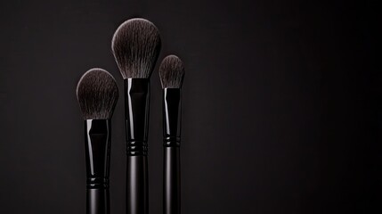 Three Makeup Brushes Standing Upright On a Dark Black Background
