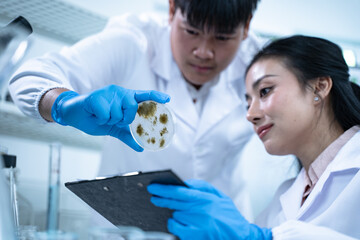 Multidisciplinary science students work in a modern lab analyzing microbial samples to support...