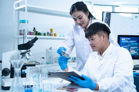 Multidisciplinary science students work in a modern lab analyzing microbial samples to support research in biology chemistry health and other scientific fields