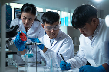 Three young scientists in lab coats working together in a laboratory examining a petri dish for...