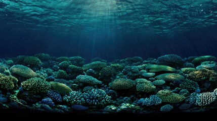 Obraz premium Underwater scene depicts vibrant coral reefs beneath the ocean surface