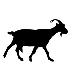 goat silhouette illustration