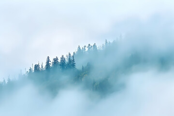 Trees peek through mist. Evergreen forest on hilltop. Serene, calming, dreamy