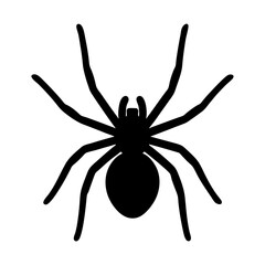 A simple black silhouette of a spider with eight legs on white