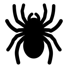 Striking Black Spider Silhouette with Eight Legs on White Background for Halloween