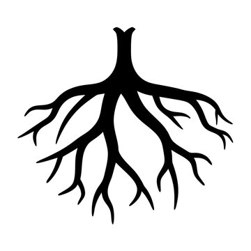 Abstract depiction of tree roots in black silhouette on white background