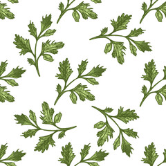 Colored seamless pattern with hand drawn parsley leaves in vintage sketch style