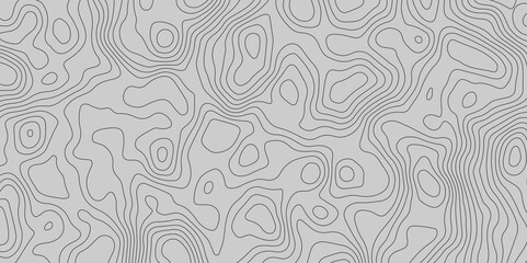 Fototapeta premium Topographic map background concept. Topo contour map. Rendering abstract illustration. Vector abstract illustration. Geography concept. paper texture design. Limited of a geographical map