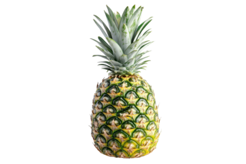 Single, whole pineapple, displaying its vibrant green and yellow scales, is featured in a  setting against a muted color background.