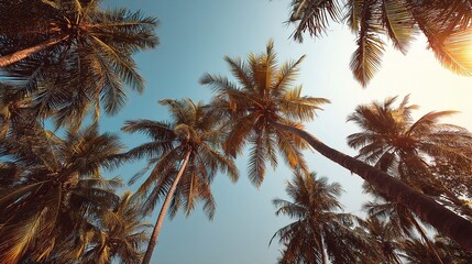Fototapeta premium Swaying Palm Trees on a Tropical Beach Under the Sunlit Sky