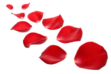 falling-red set-of rose petal isolated on white background falling red set of rose petal isolated on white background PNG