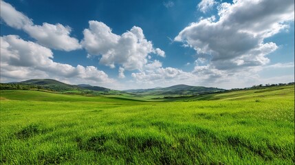 Lush Green Pasture in Spring Under Clear Blue Sky