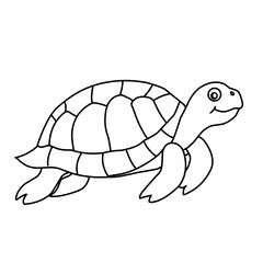 illustration of a tortoise sketch on a white background