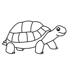 illustration of a tortoise sketch on a white background