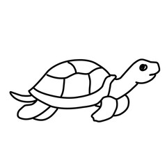 illustration of a tortoise sketch on a white background