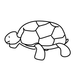 illustration of a tortoise sketch on a white background