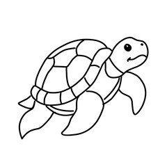 illustration of a tortoise sketch on a white background