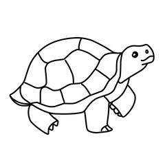 illustration of a tortoise sketch on a white background