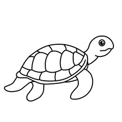 illustration of a tortoise sketch on a white background