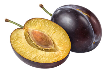 Fototapeta premium plum on a white background